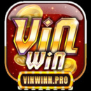 vinwinnpro