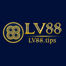 lv88tips