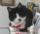 miyunoさん miyunoさん