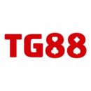 tg888store12